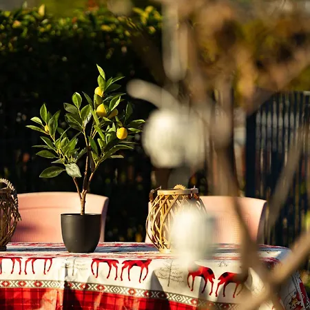 Location Piano Terra Con Giardino Privato * Sondrio